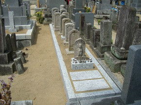 完成写真
