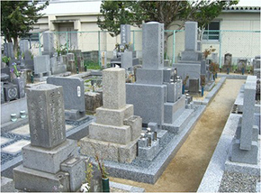 完成写真